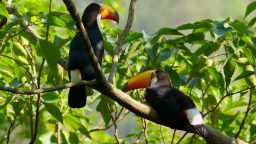 Costa Rica
