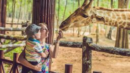 gradina zoo